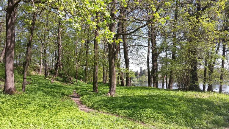 13112924_10156859423205263_2608535864278569602_o