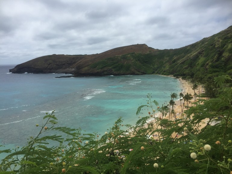 Hawaii beach