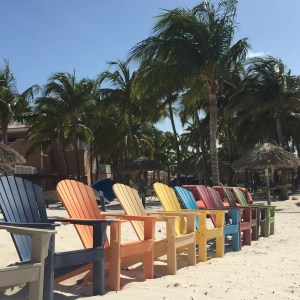 Lined up sunchairs