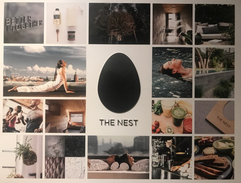 The nest