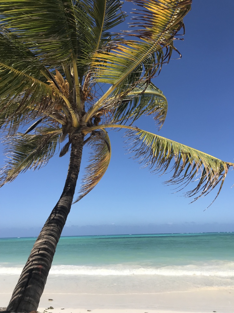 Zanzibar beach