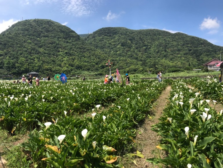 Yangminghan national park