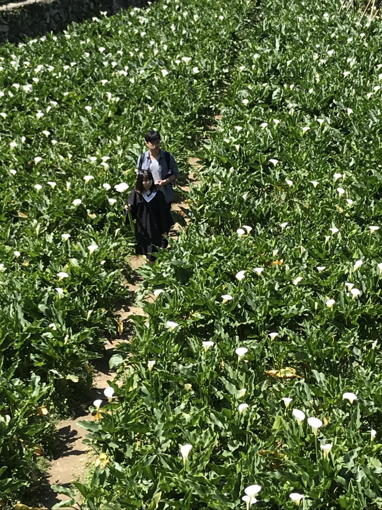 Yangminghan national park