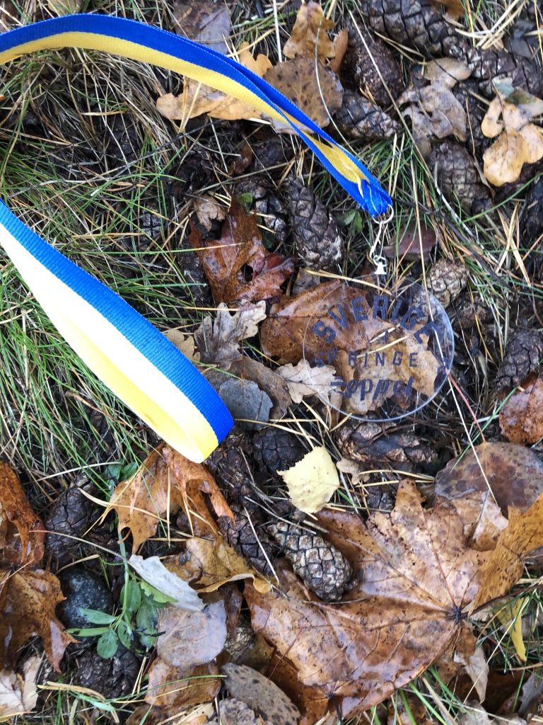 Sverige Springer Loppet