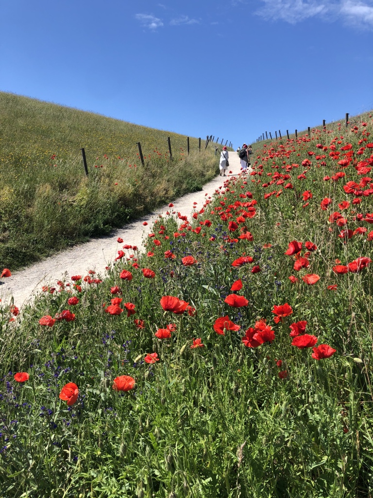 Running at Österlen