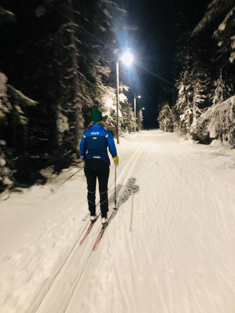 Skiing in Åre