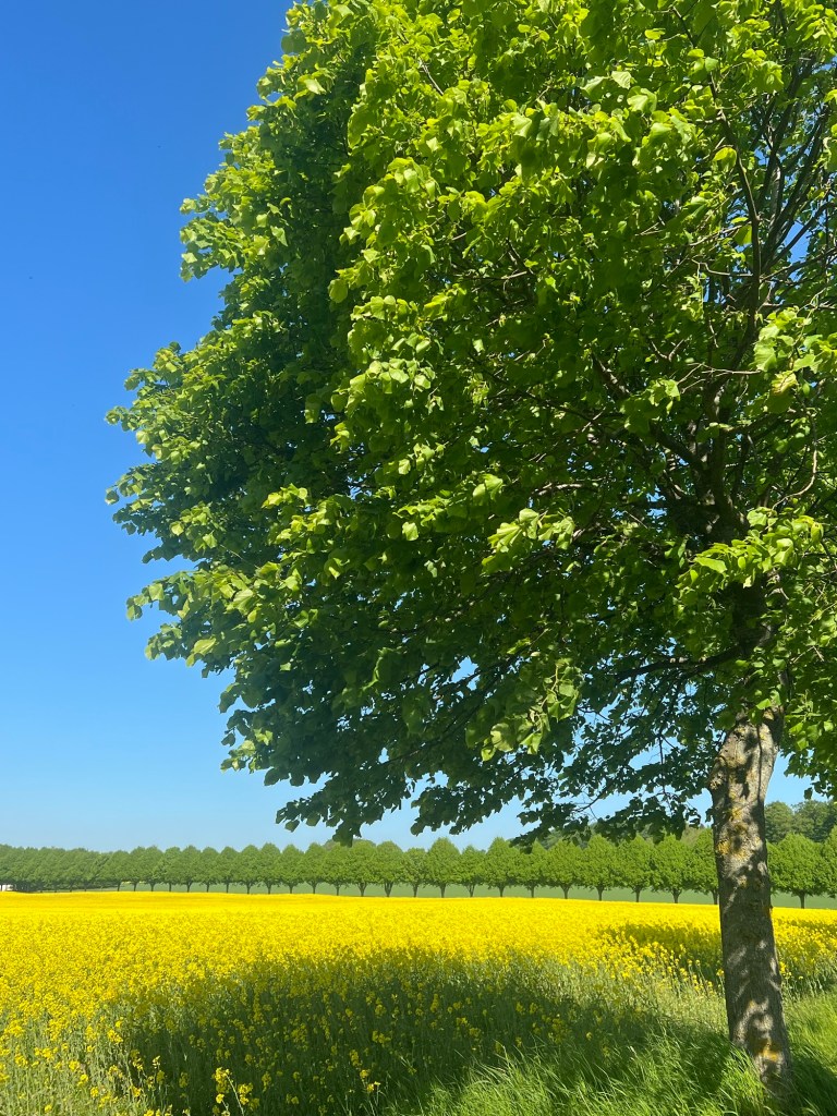 Spring in Skåne